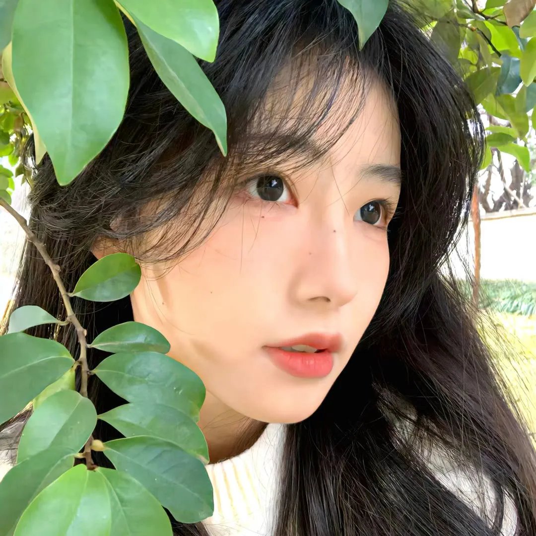 手机里的眼泪